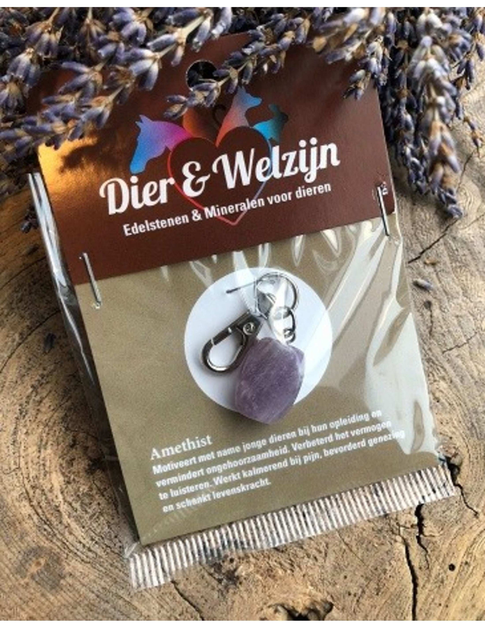 Image for amethist-halsband-hanger-dier-welzijn_3.jpg