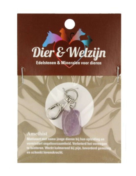 Image for amethist-halsband-hanger-dier-welzijn.jpg
