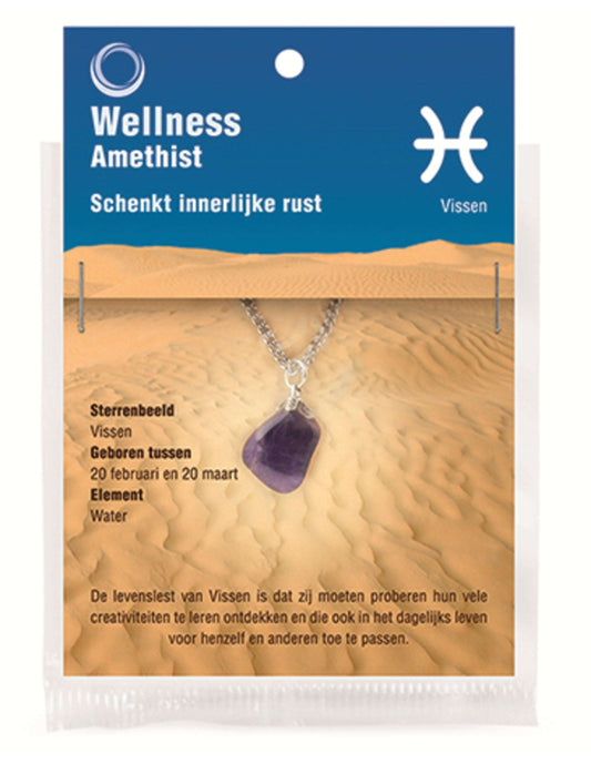 Image for sterrenbeeld-hanger-vissen-amethist.jpg